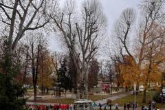 WhatsApp-Image-2025-11-28-at-10.47.39