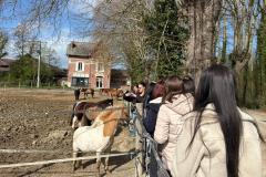 WhatsApp-Image-2026-03-30-at-12.22.48