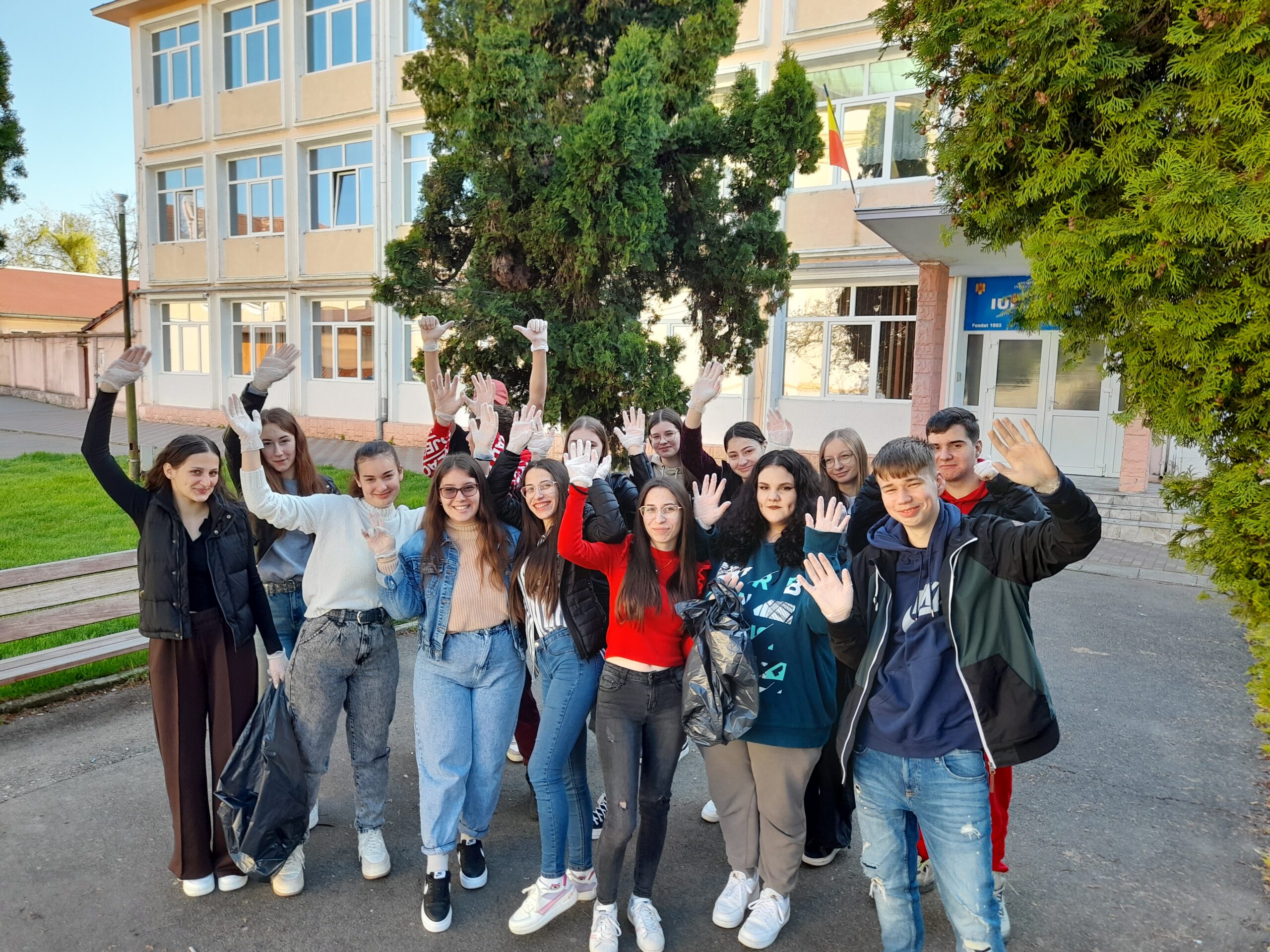 Activitate de ecologizare